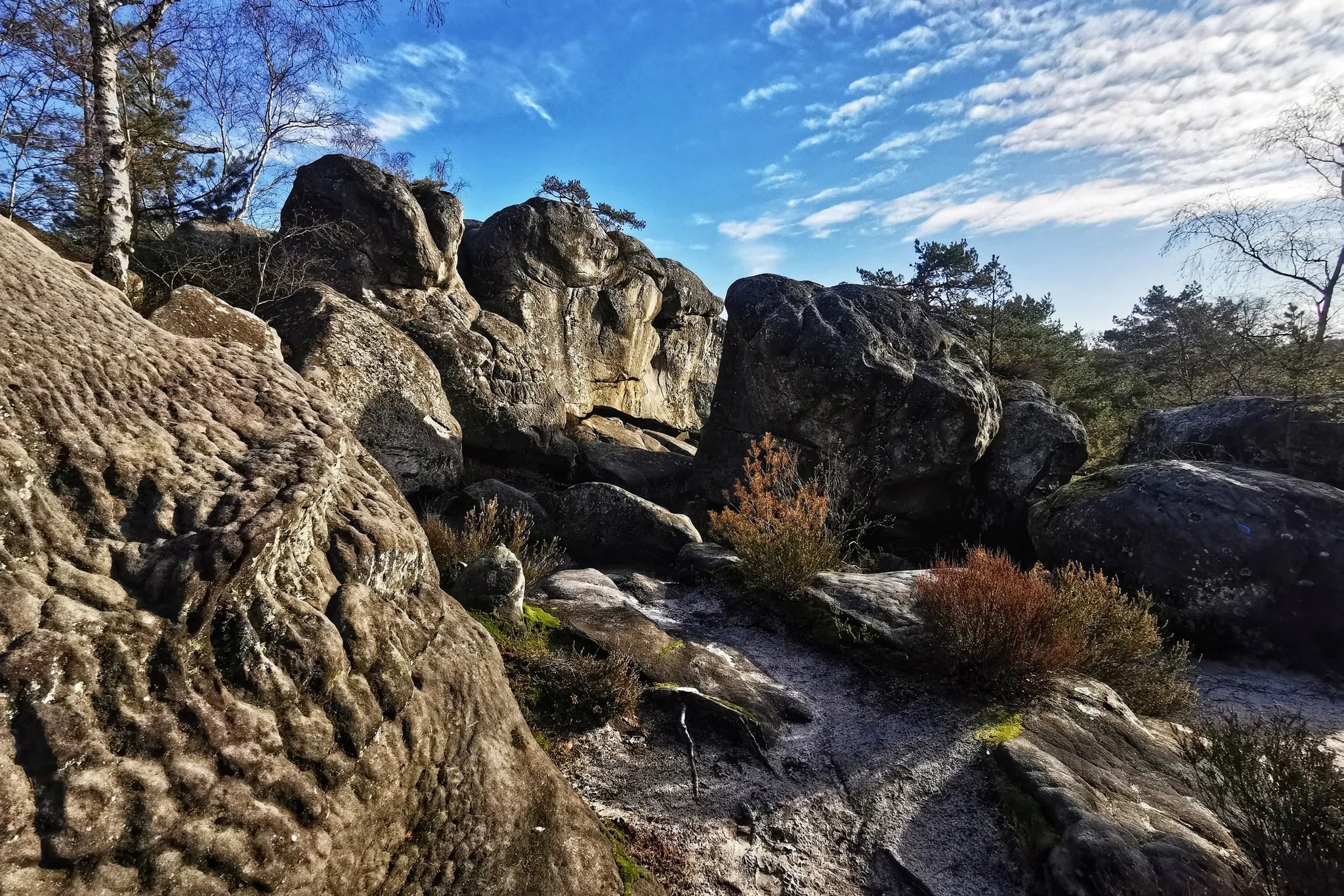 Randonnée Gorges d'Apremont & Barbizon – Sur les traces des peintres - Dimanche 16 aout