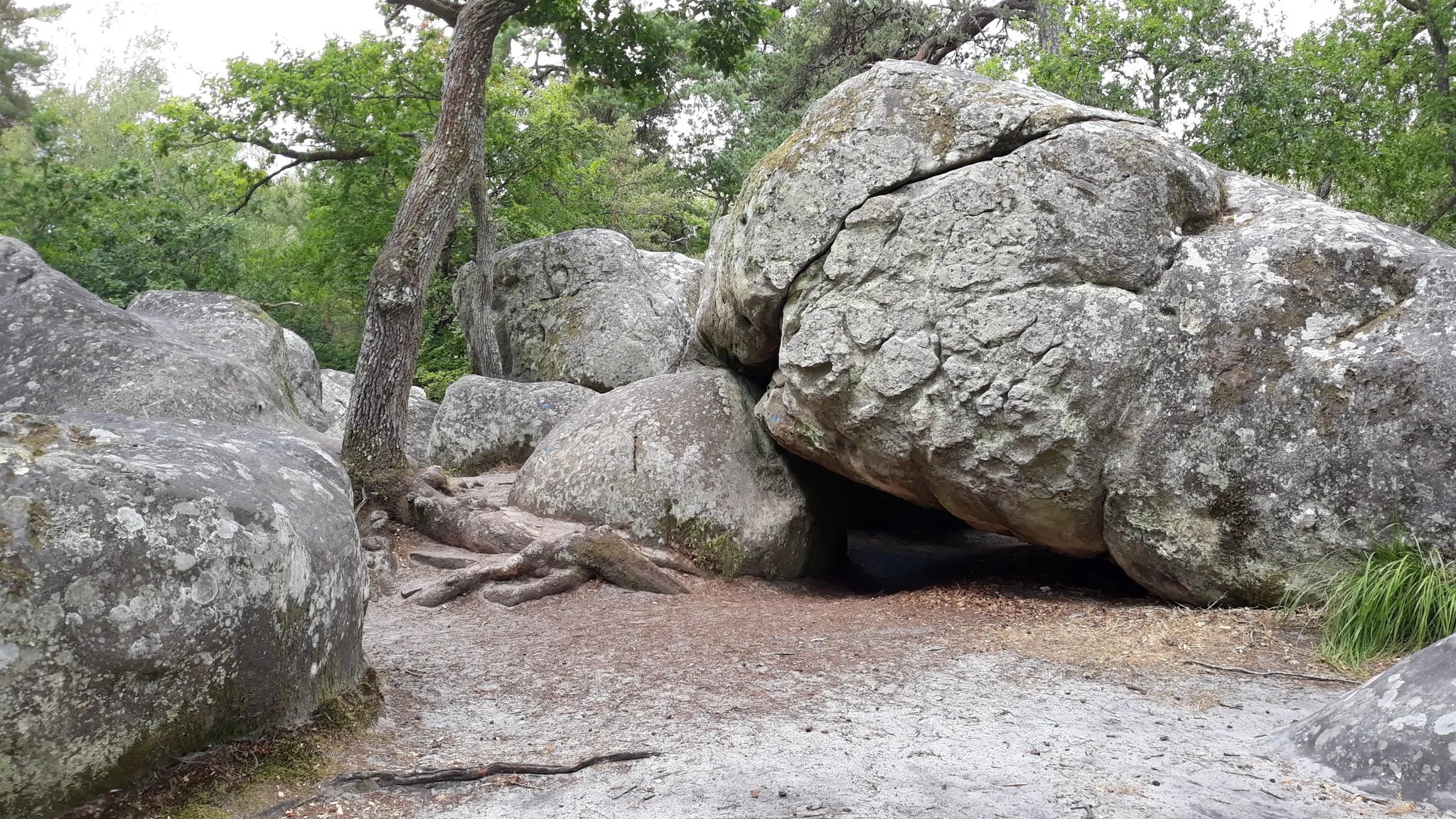 Randonnée Gorges d'Apremont & Barbizon – Sur les traces des peintres - Dimanche 16 aout