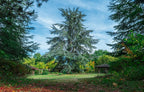Randonnée Panoramique de La Roche-Guyon (95) / Dimanche 26 juillet