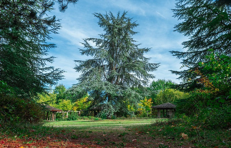 Randonnée Panoramique de La Roche-Guyon (95) / Dimanche 26 juillet
