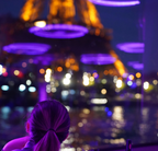 Dîner-croisière festif sur la Seine 🥂Vendredi 25 septembre 2026  +45ans