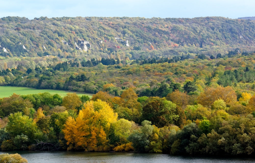 Randonnée Panoramique de La Roche-Guyon (95) / Dimanche 26 juillet