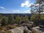 Randonnée Gorges d'Apremont & Barbizon – Sur les traces des peintres - Dimanche 16 aout