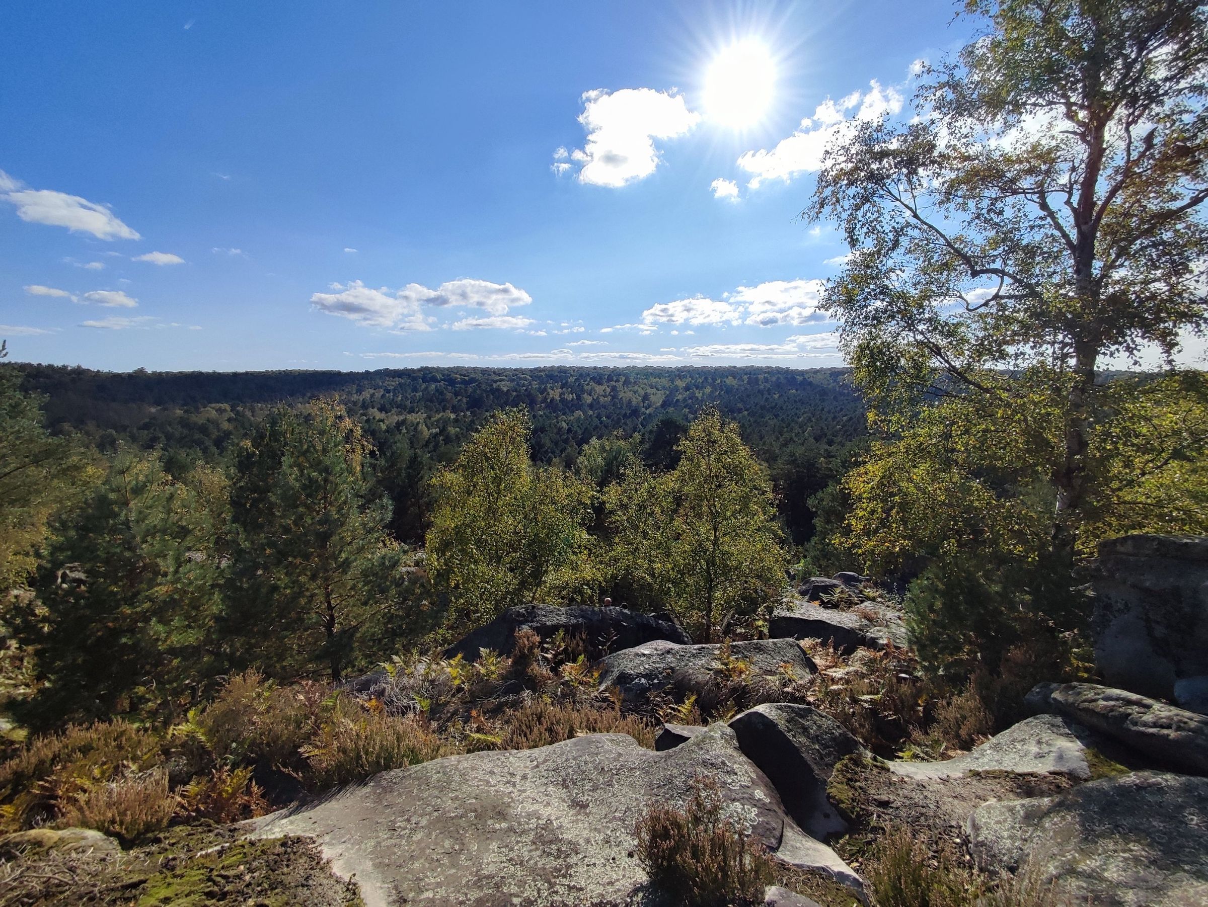 Randonnée Gorges d'Apremont & Barbizon – Sur les traces des peintres - Dimanche 16 aout